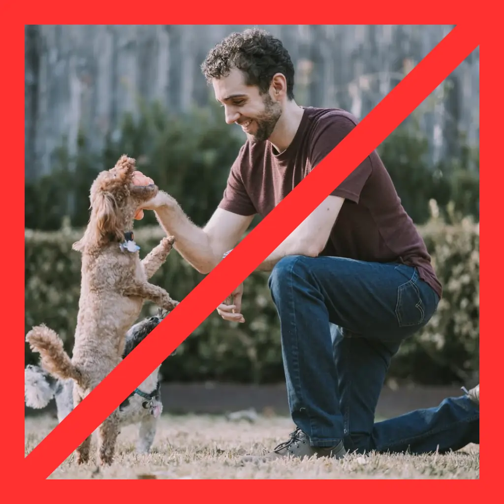 Women Caught on to Dating App Photographers